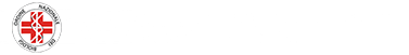 logo_carrozzini